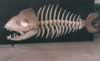6fishbone.jpg (28,850 bytes)